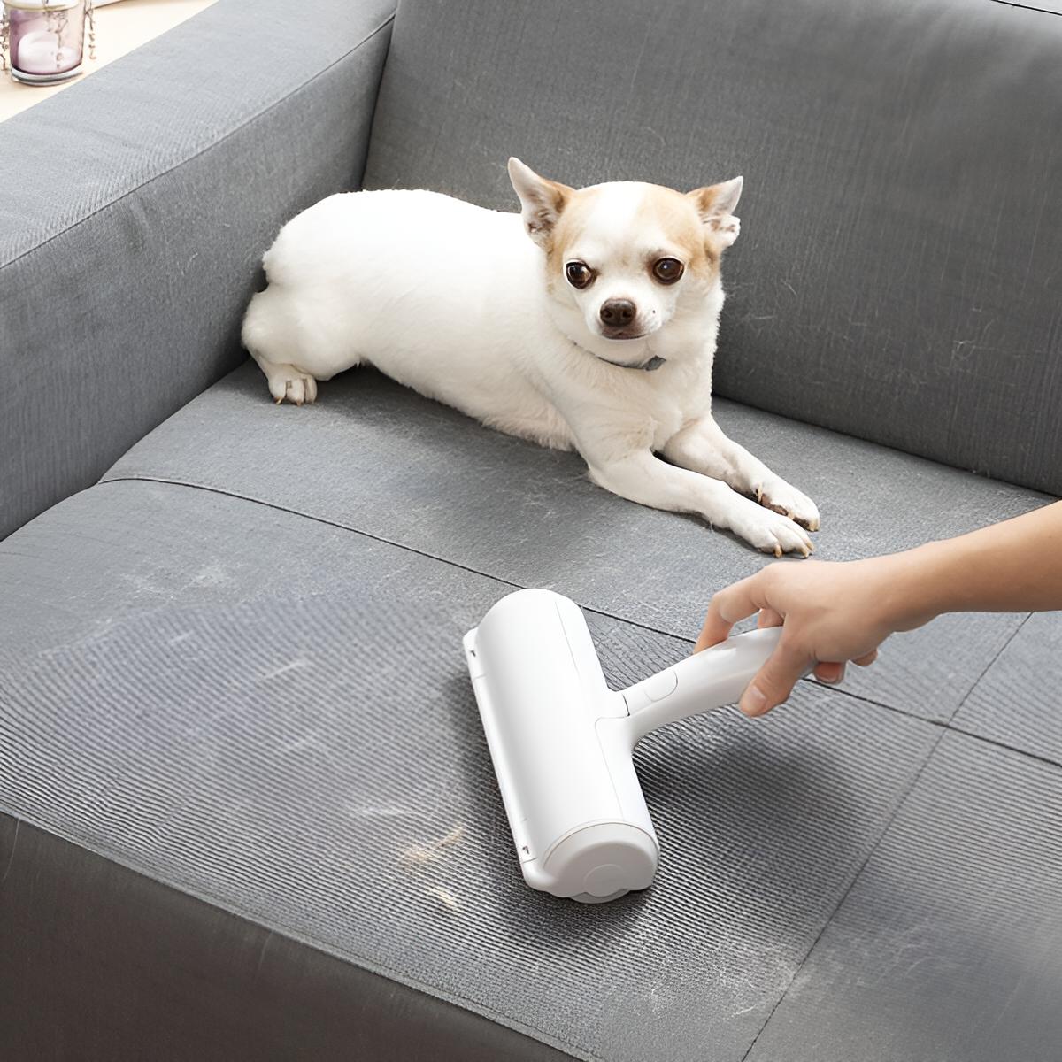 Tierhaarentferner Bürste Roller Fusselbürste für Kleidung | Wiederverwendbare Fusselrolle | Tierhaare, Katzenhaare, Hundehaare entfernen | Abwaschbar & wiederverwendbar | Lint Remover Without Battery