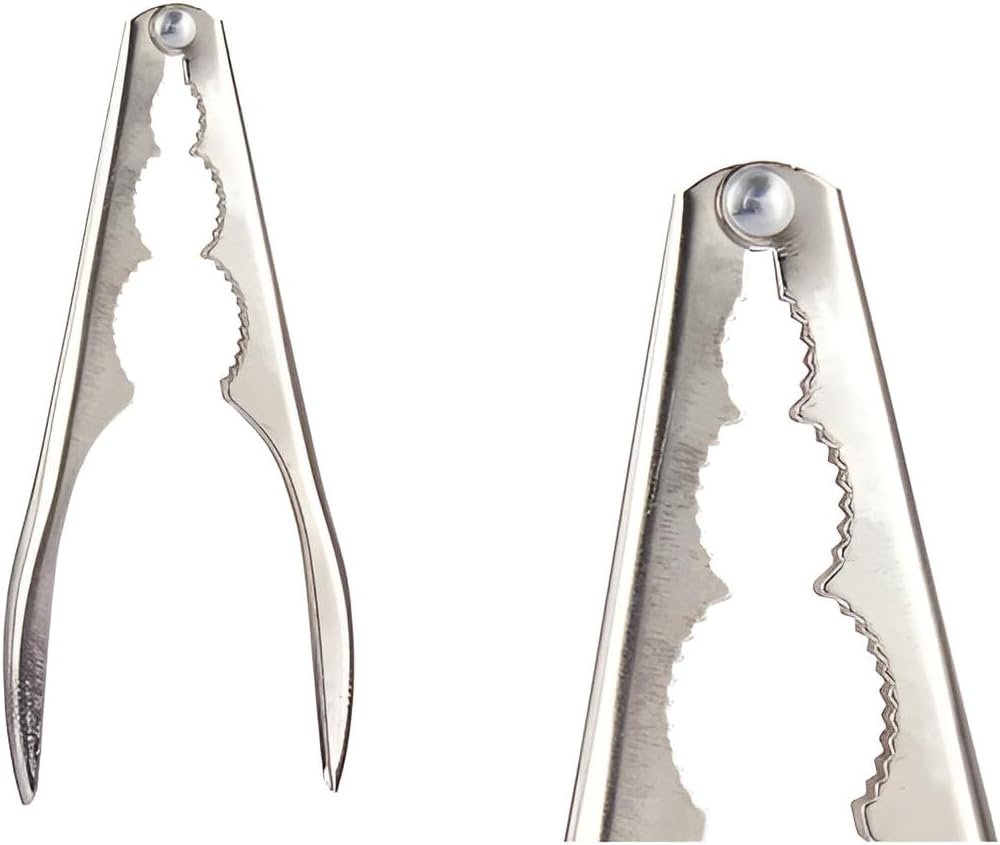 Nussknacker Set 12 Stück | Nussknacker für Walnüsse und Co. | Hochwertiger Edelstahl 16,5 cm groß | Gewerbe-Angebot