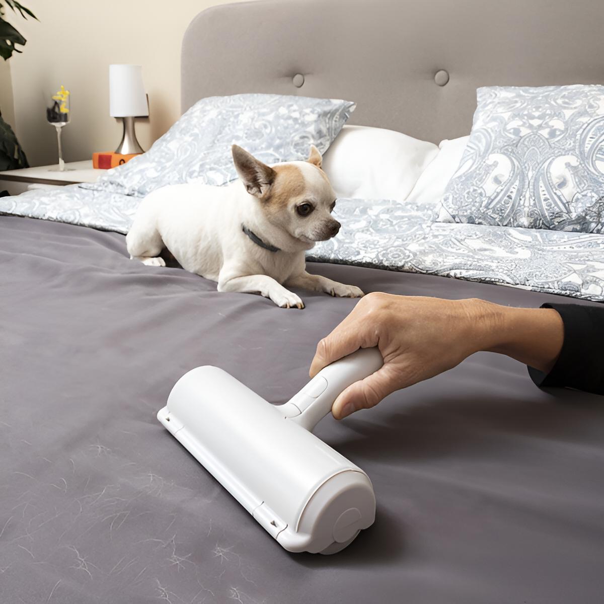 Tierhaarentferner Bürste Roller Fusselbürste für Kleidung | Wiederverwendbare Fusselrolle | Tierhaare, Katzenhaare, Hundehaare entfernen | Abwaschbar & wiederverwendbar | Lint Remover Without Battery
