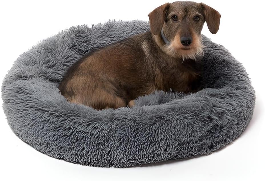 Haustierbett 60 cm für Hunde & Katzen | Anti-Stress Hundebett & Katzenbett | Kleines/mittelgroßes Bett mit erhöhtem Rand | rutschfeste, wasserdichte Unterlage
