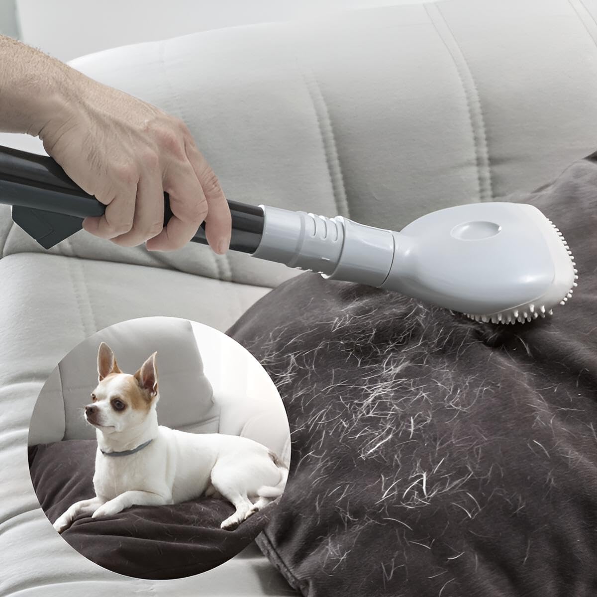 Tierhaarbürste für Staubsauger | Universal-Lösung für alle Marken mit 2 Adaptern | Fusselbürste, Tierhaarentferner, Möbelbürste Polster, Polsterdüse, Möbeldüse
