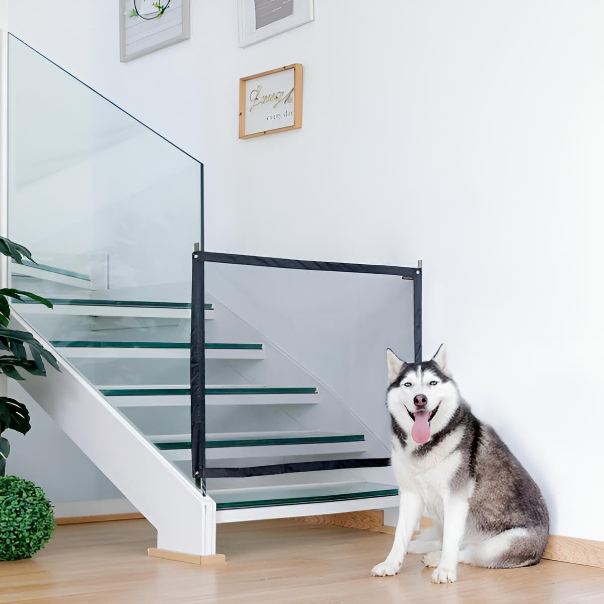Premium Haustier-Sicherheitsnetz Sperre Blockade für Hunde, Katzen & mehr | Robuste Absperrung hochkant & quer verwendbar | 112x73 cm | Werkzeuglose Montage ohne Bohren zum Kleben