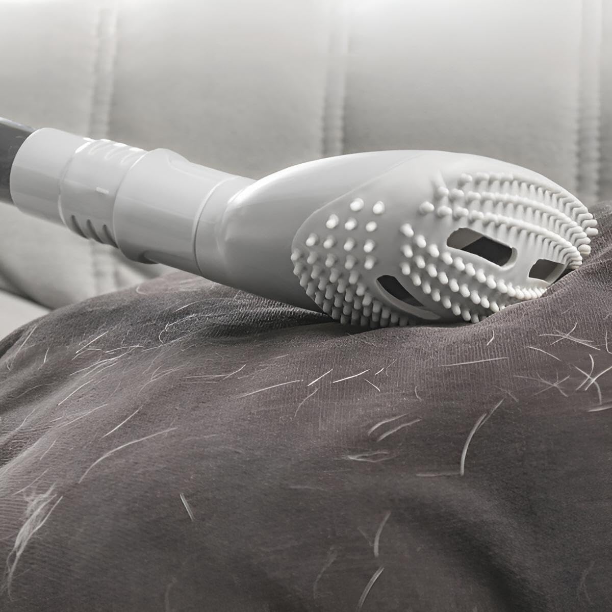Tierhaarbürste für Staubsauger | Universal-Lösung für alle Marken mit 2 Adaptern | Fusselbürste, Tierhaarentferner, Möbelbürste Polster, Polsterdüse, Möbeldüse