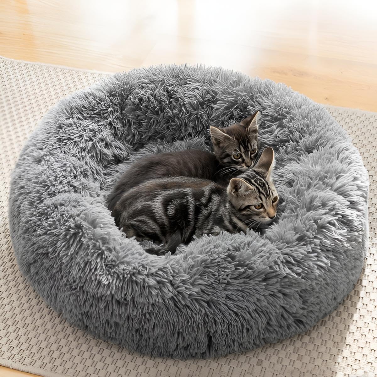 Haustierbett 60 cm für Hunde & Katzen | Anti-Stress Hundebett & Katzenbett | Kleines/mittelgroßes Bett mit erhöhtem Rand | rutschfeste, wasserdichte Unterlage