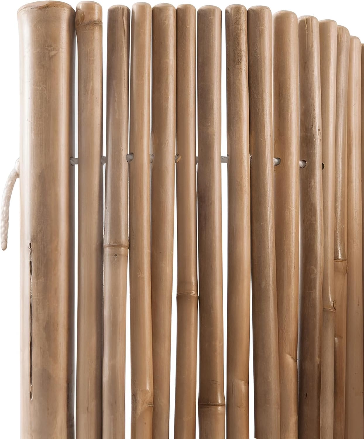 Premium Bambuswand indoor & outdoor | Bambuszaun 180 cm breit, 170 cm hoch | Sichtschutz, Raumteiler, Deko Bambus | Zaun für den Innen- und Außeneinsatz