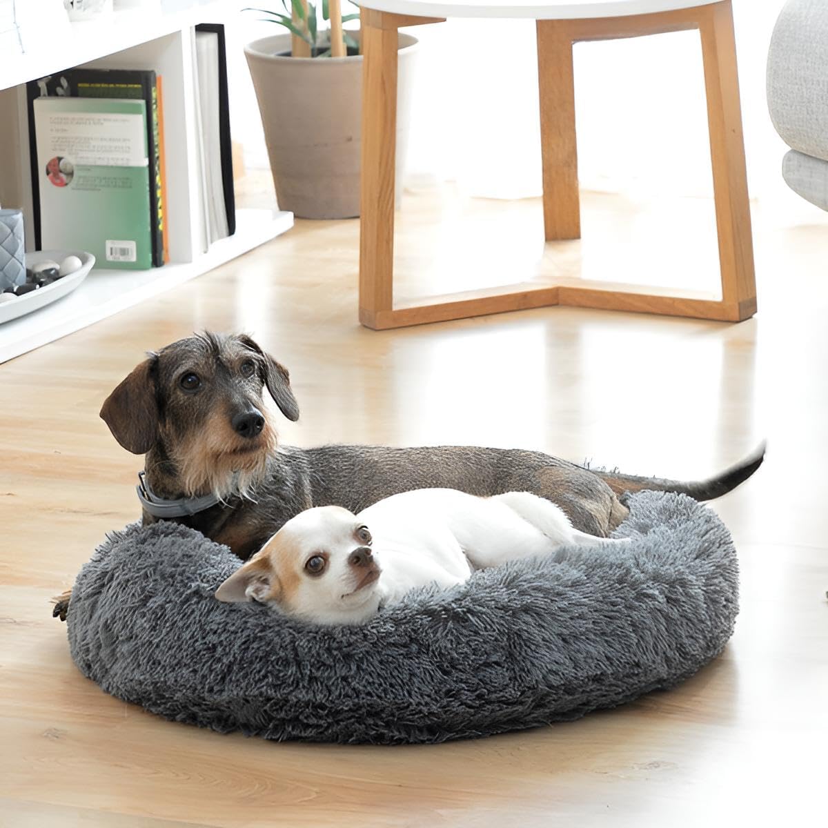 Haustierbett 60 cm für Hunde & Katzen | Anti-Stress Hundebett & Katzenbett | Kleines/mittelgroßes Bett mit erhöhtem Rand | rutschfeste, wasserdichte Unterlage