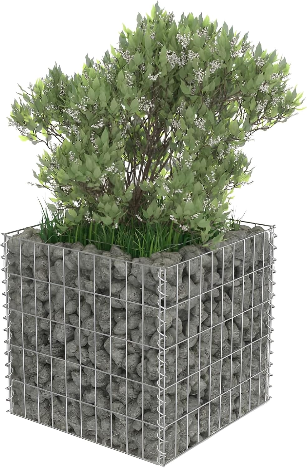 Gabionenkörbe & Gabionengitter Hochbeet klein & schmal | 50x50x50 oder 90x50x50 cm (50x50x50)