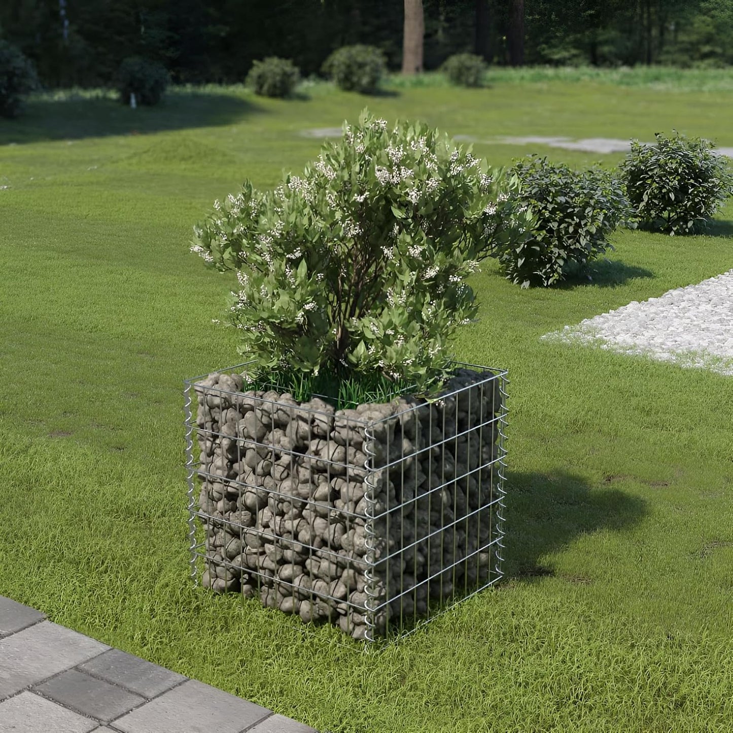 Gabionenkörbe & Gabionengitter Hochbeet klein & schmal | 50x50x50 oder 90x50x50 cm (50x50x50)