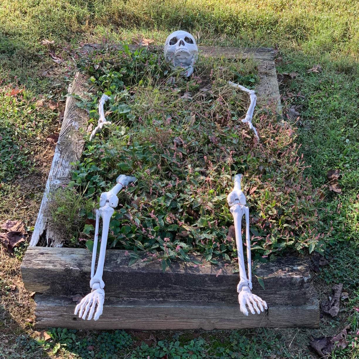 Halloween-Skelett für Rasenfläche