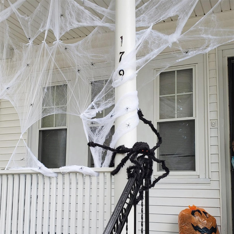 Spinnennetz-Deko für Halloween