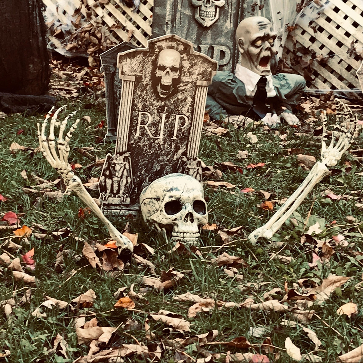 halloween-skelett